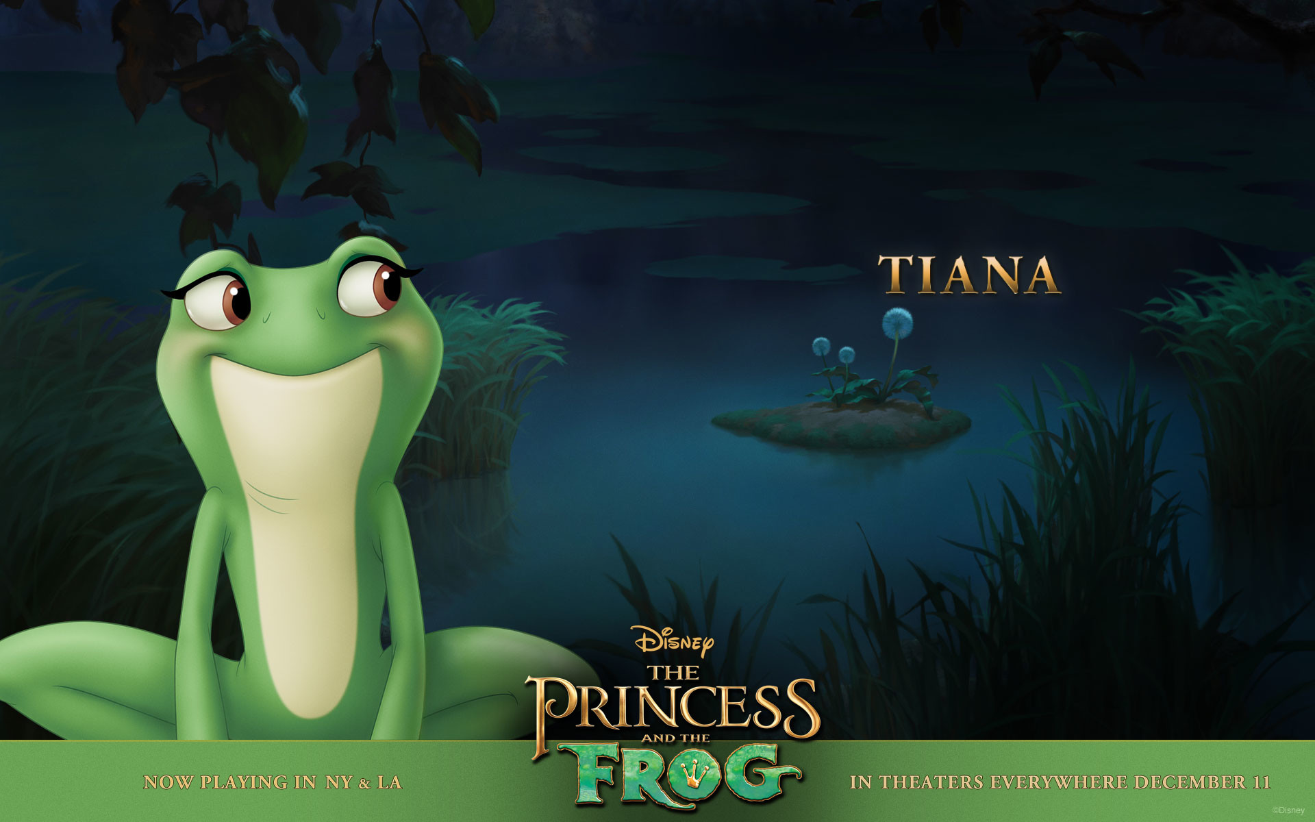 Princess And The Frog Background