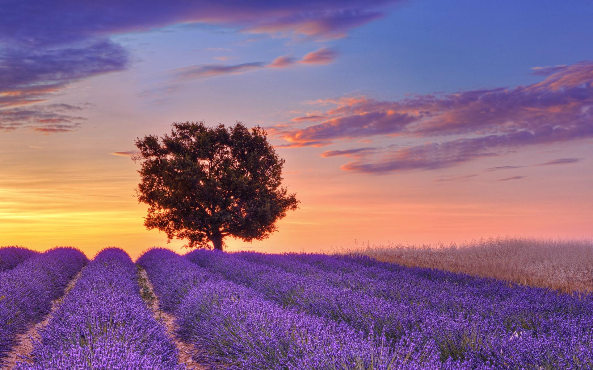 Provence France Wallpapers