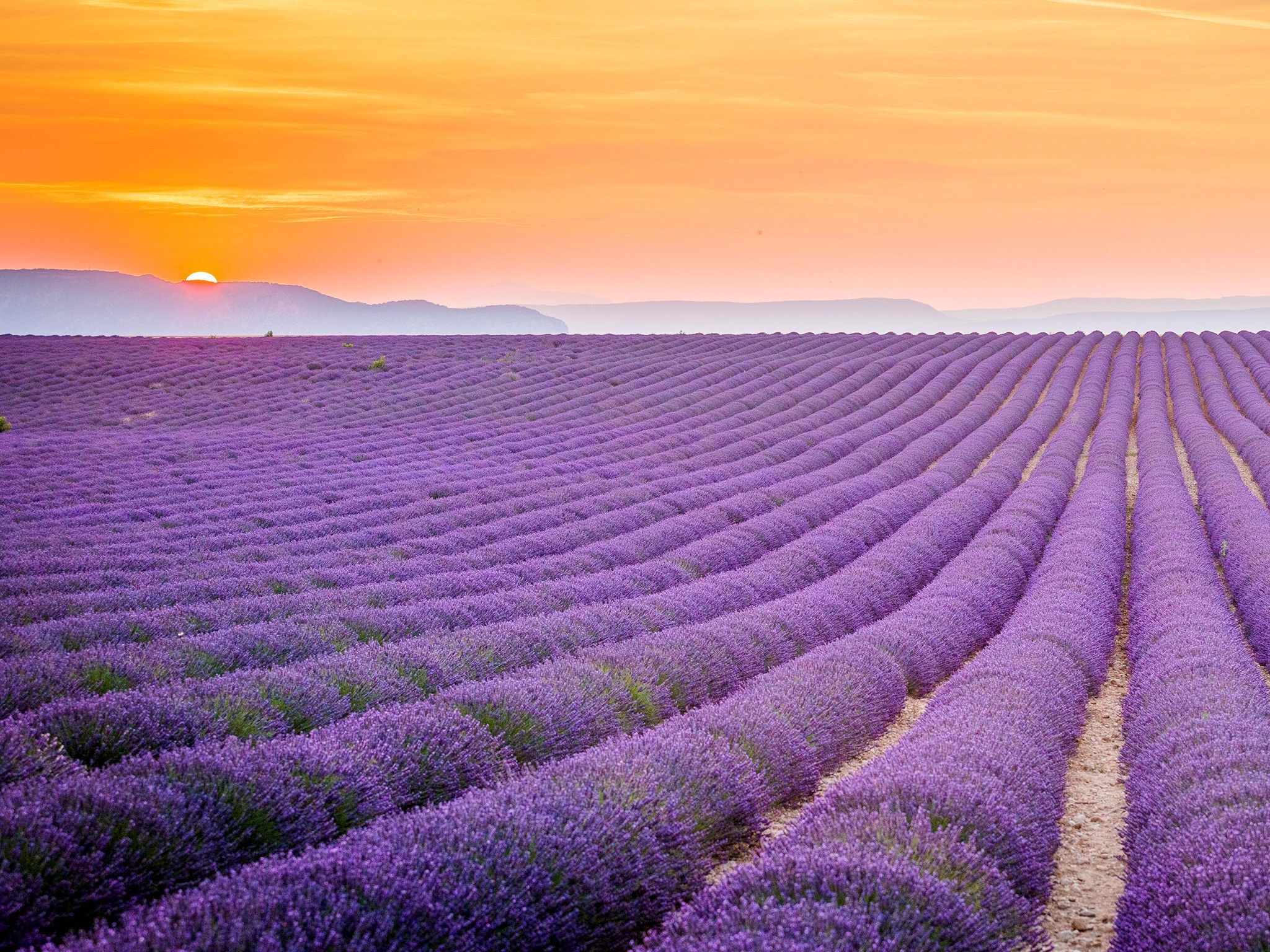 Provence France Wallpapers