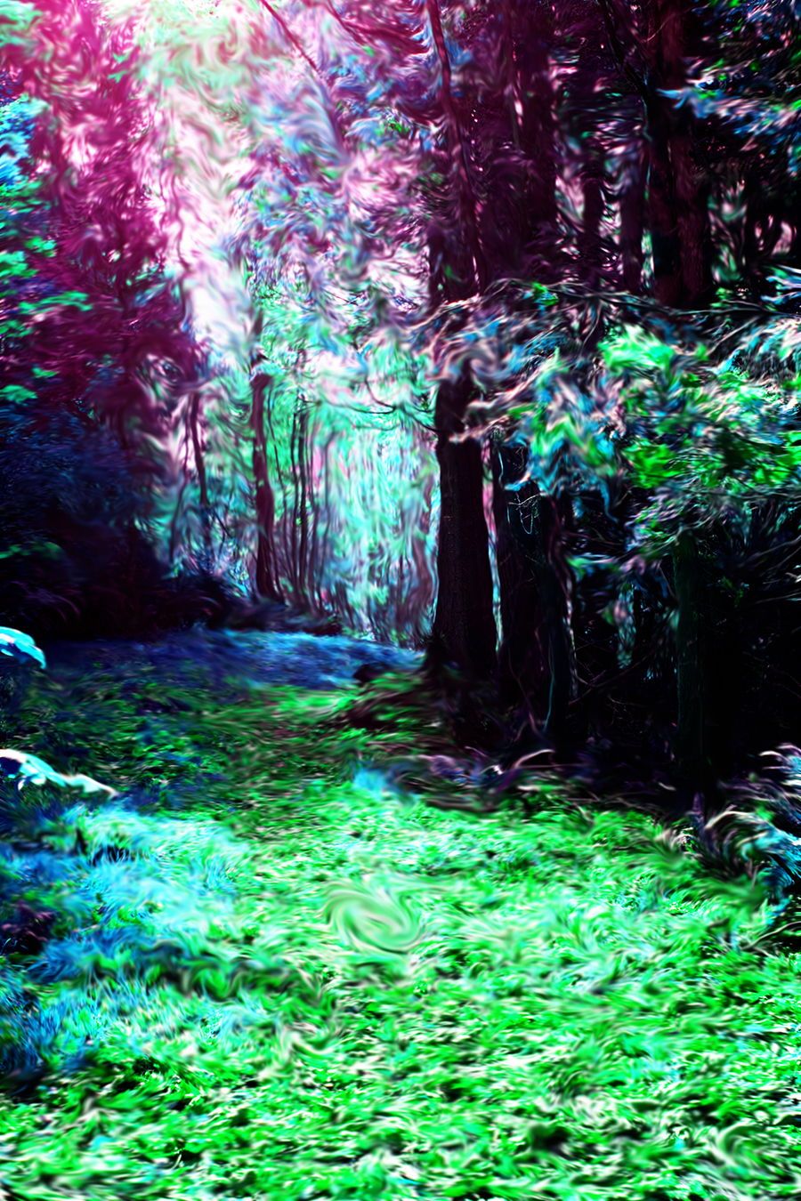 Psychedelic Forest Wallpapers