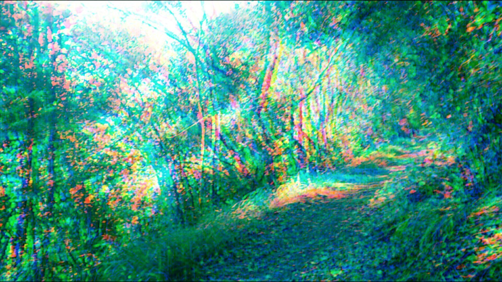 Psychedelic Forest Wallpapers