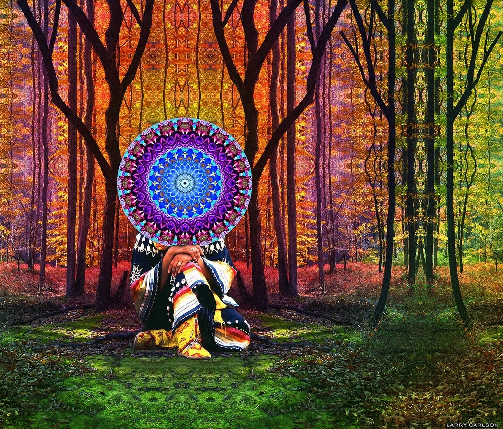 Psychedelic Forest Wallpapers