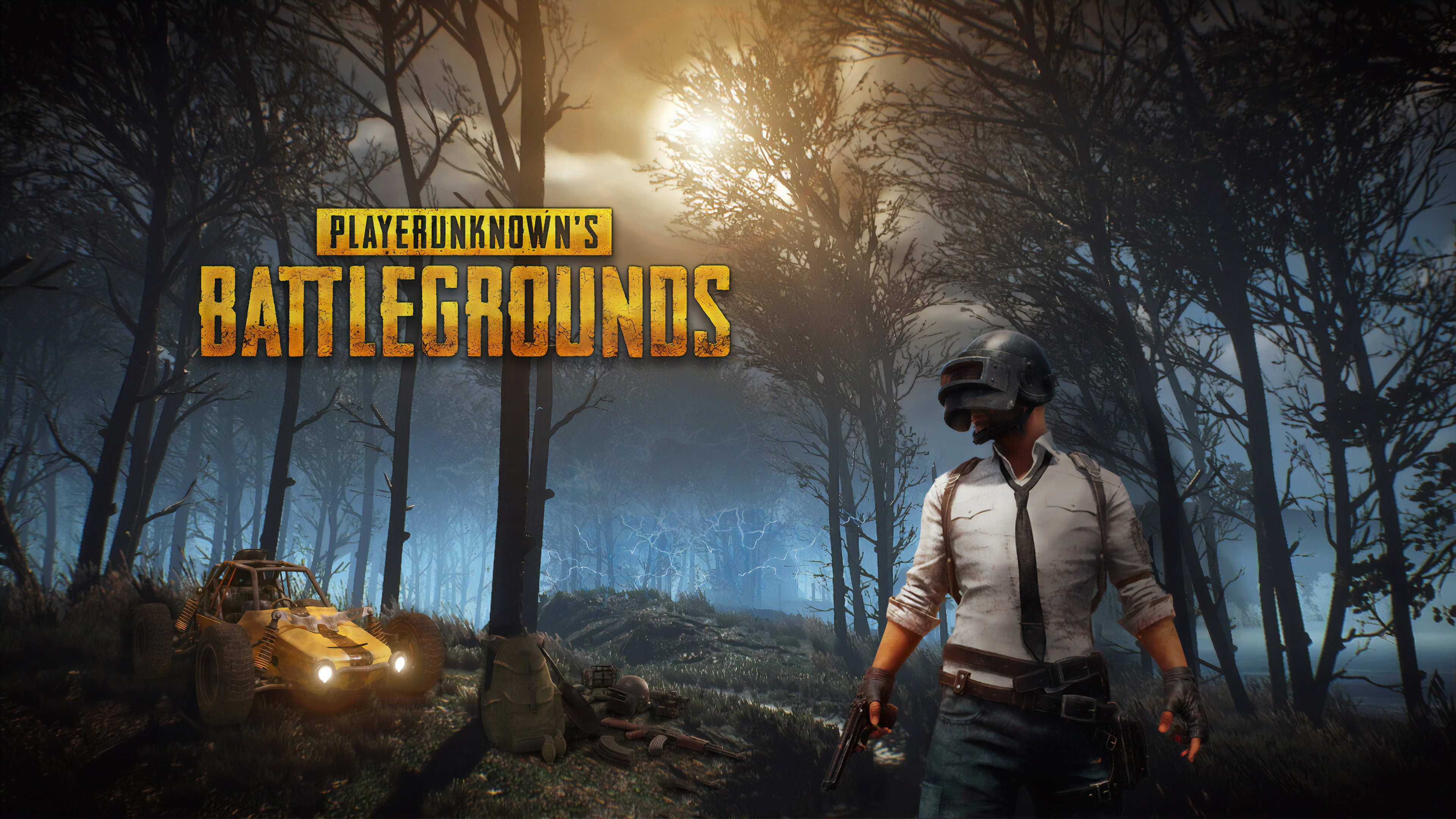 PUBG NEW Gaming Wallpapers