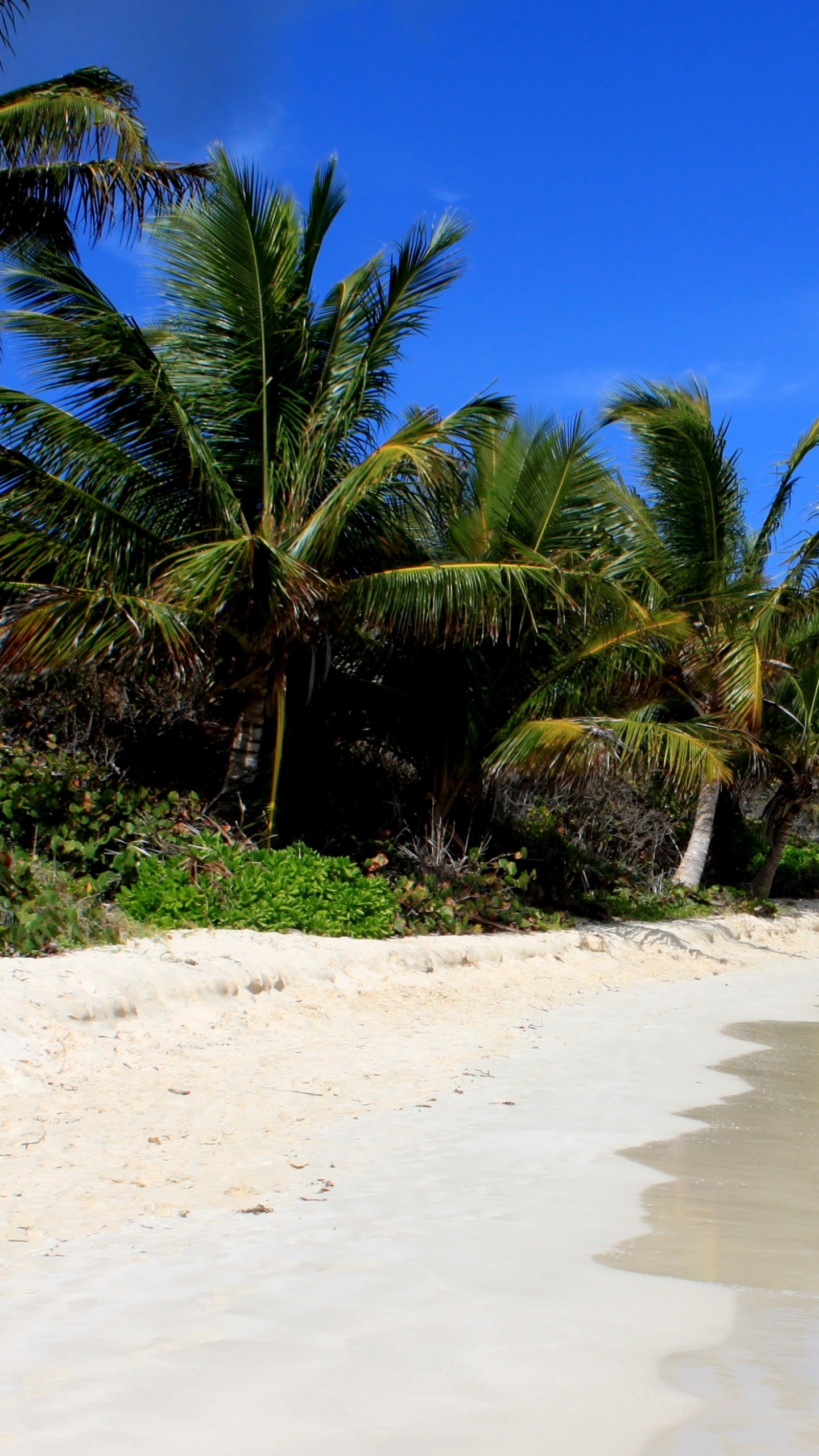 Puerto Rico Beach Wallpapers