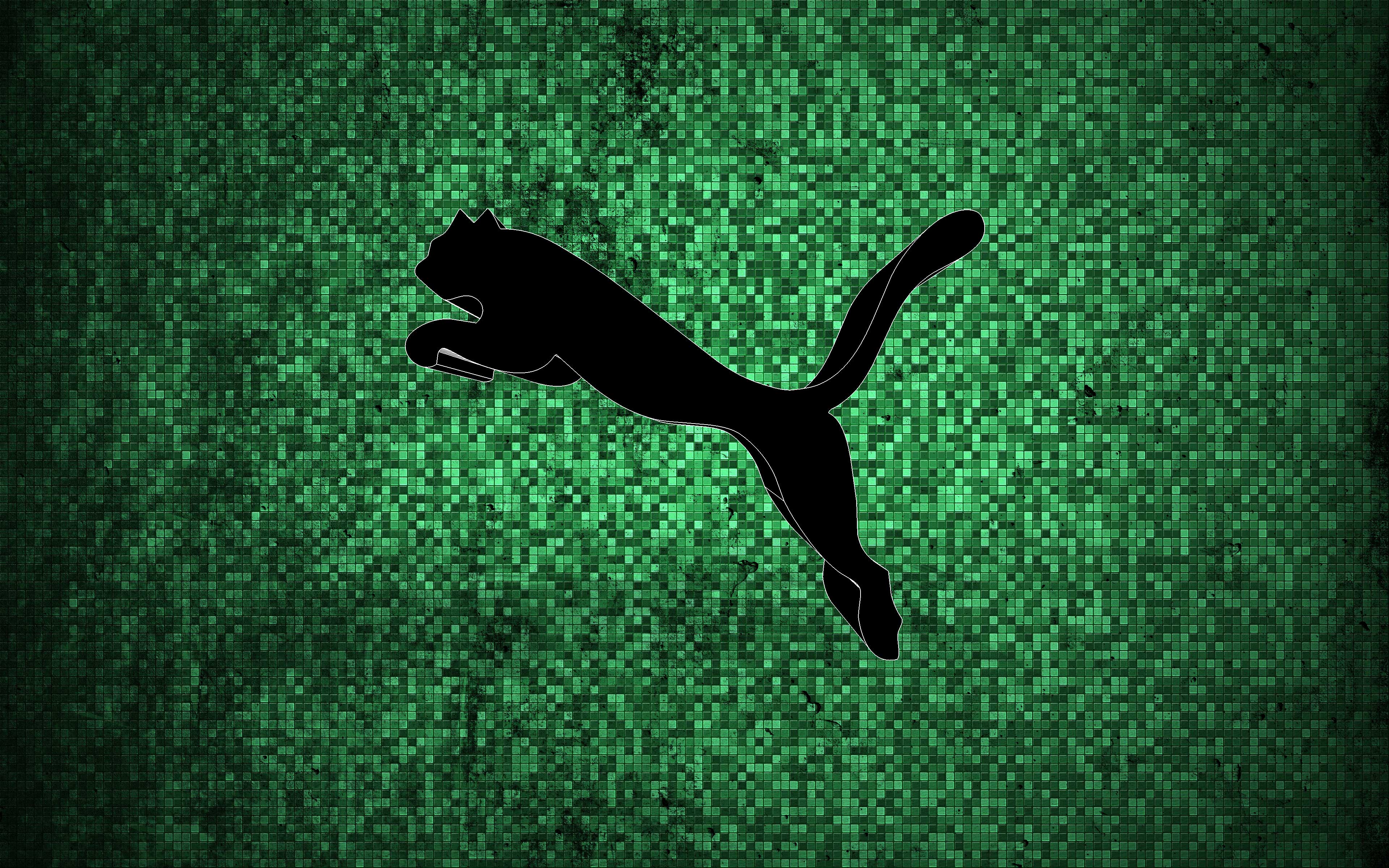 Puma Backgrounds