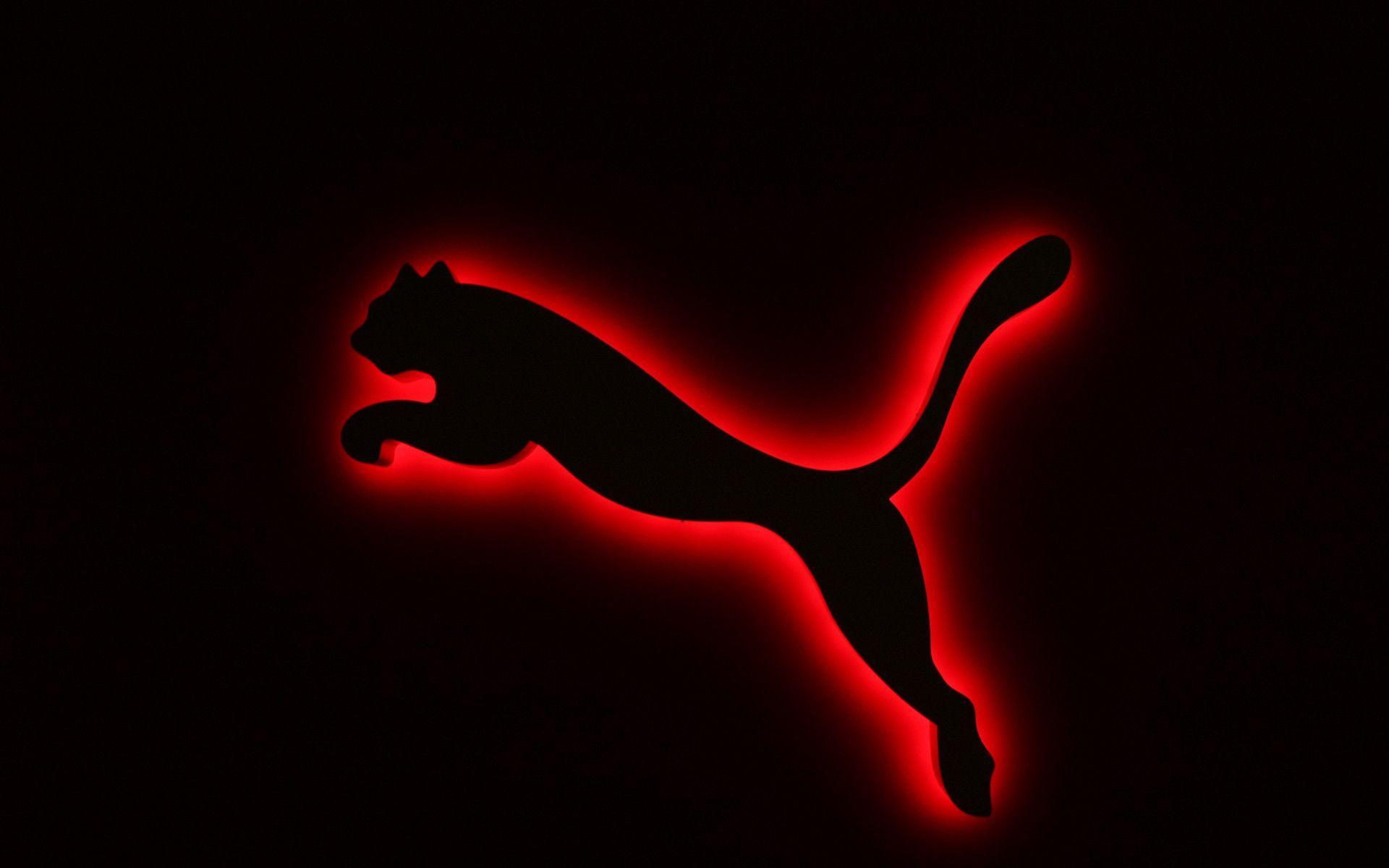 Puma Backgrounds