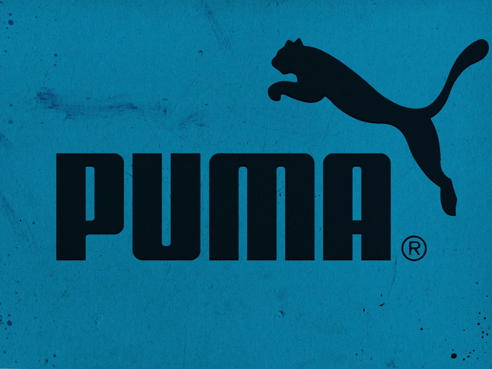 Puma Backgrounds