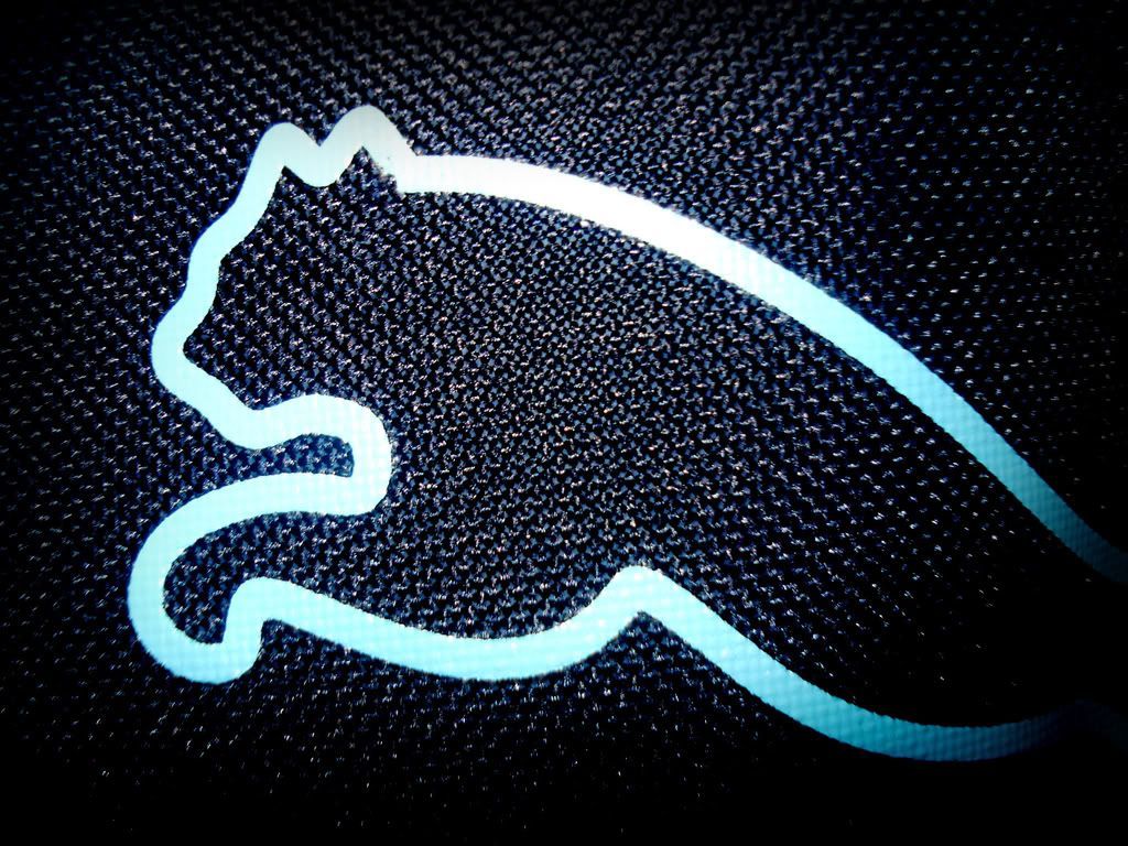 Puma Backgrounds