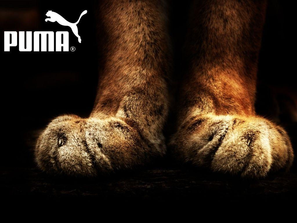 Puma Wallpapers