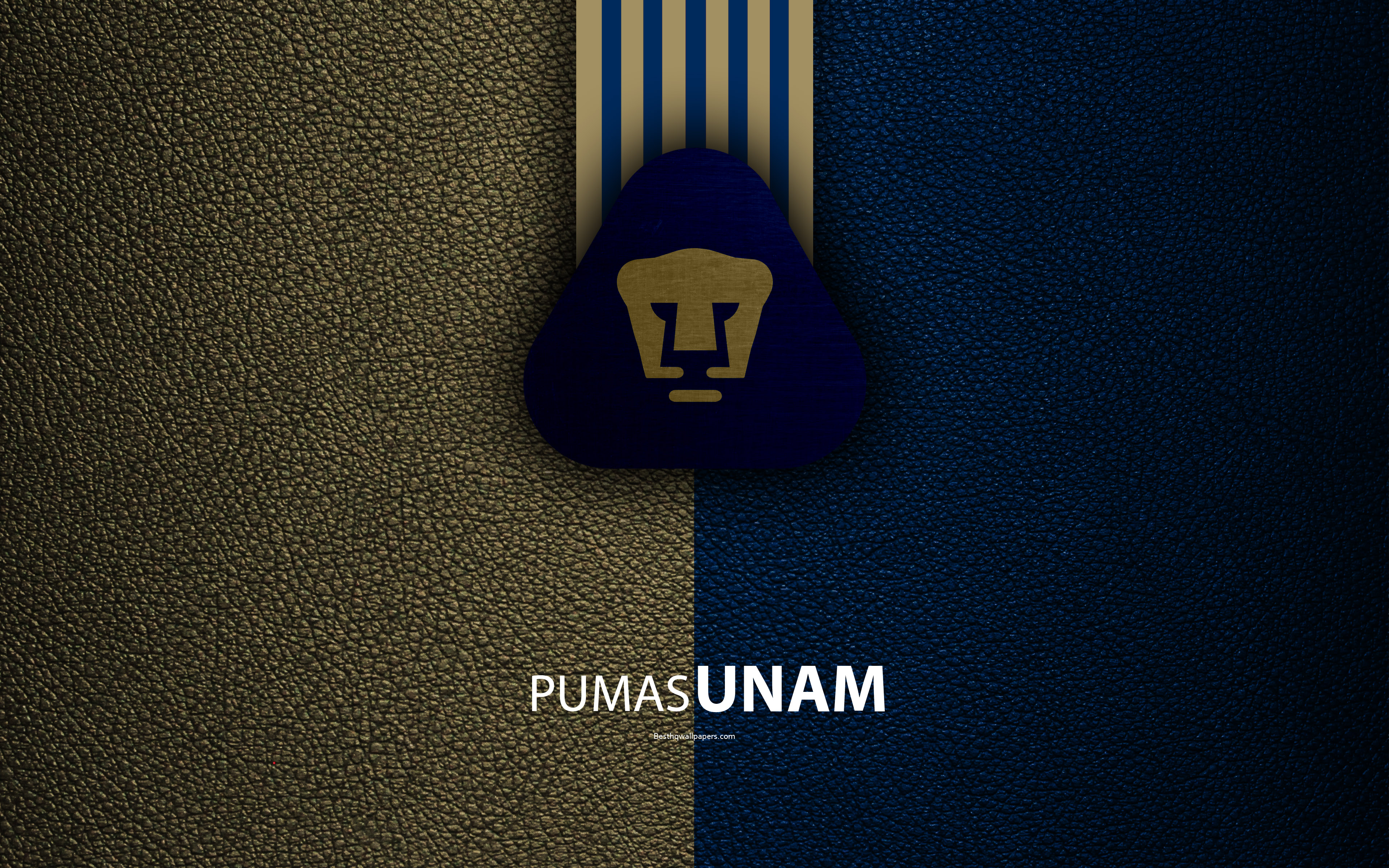 Pumas Unam Iphone Wallpapers