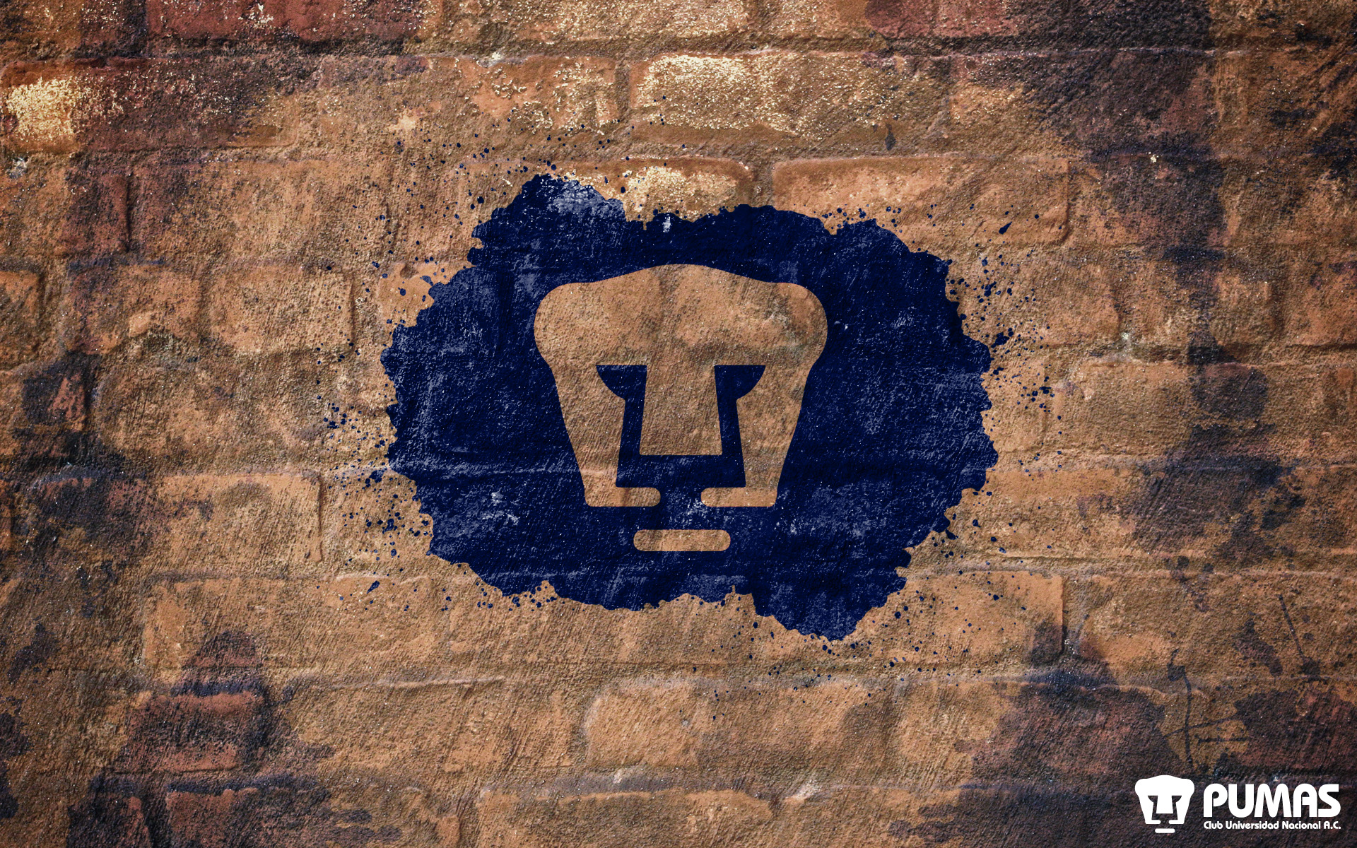 Pumas Unam Iphone Wallpapers