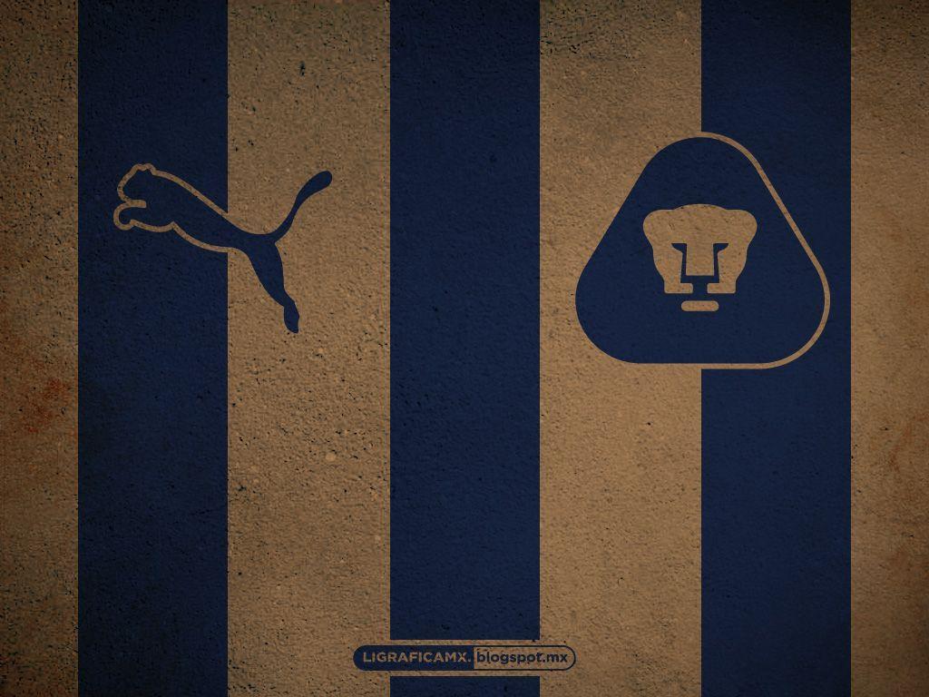 Pumas Wallpapers