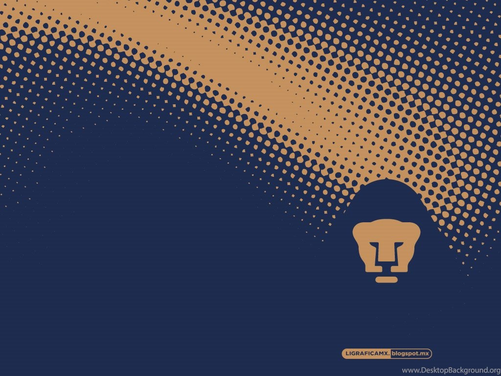 Pumas Wallpapers