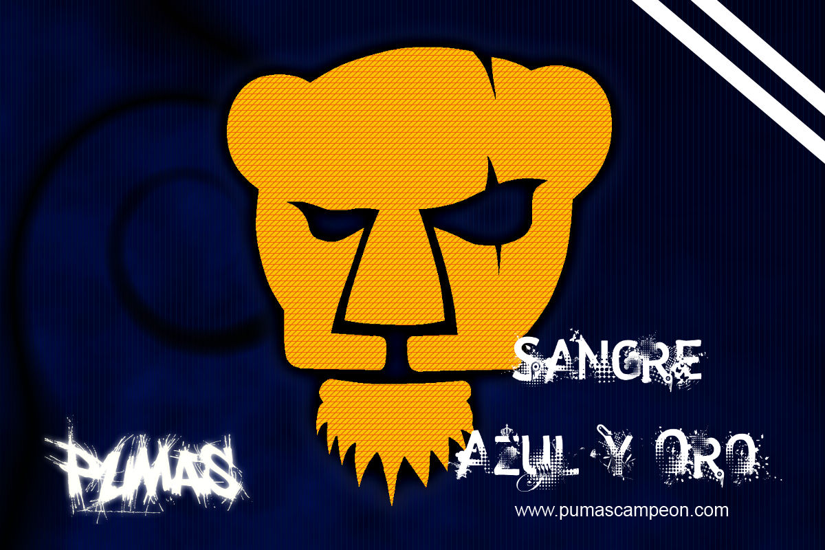 Pumas Wallpapers