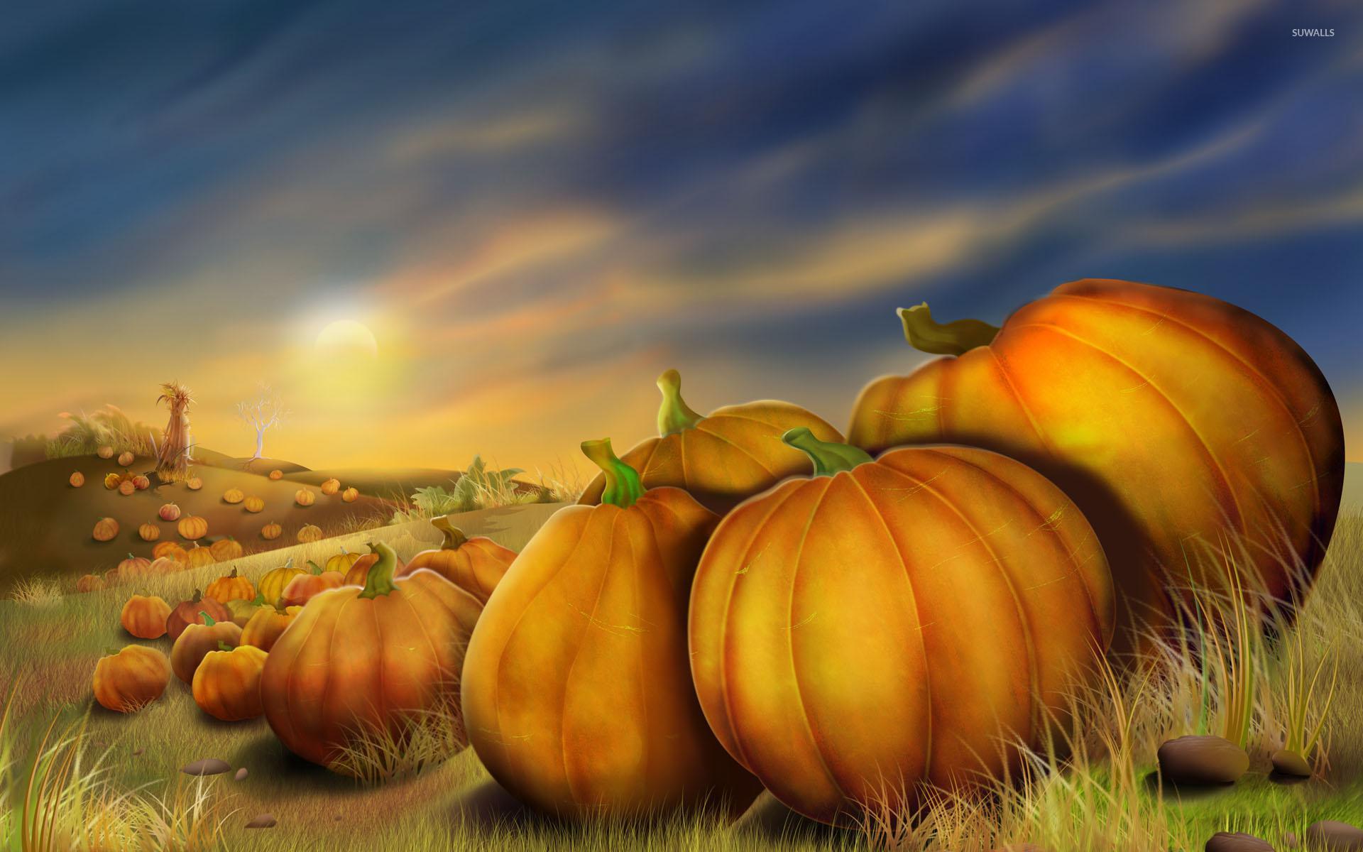 Pumpkin Desktop Background