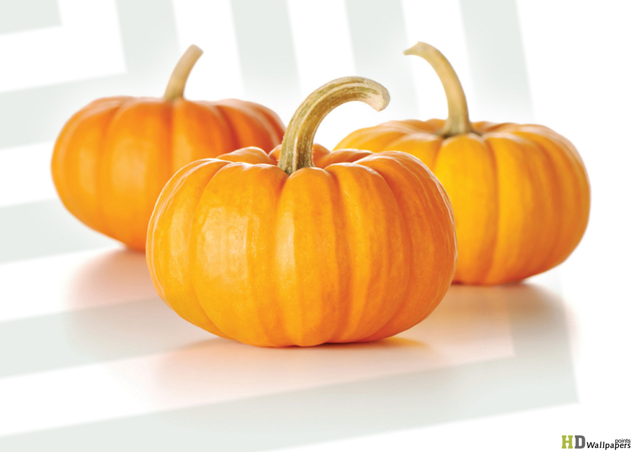 Pumpkin Hd Wallpapers