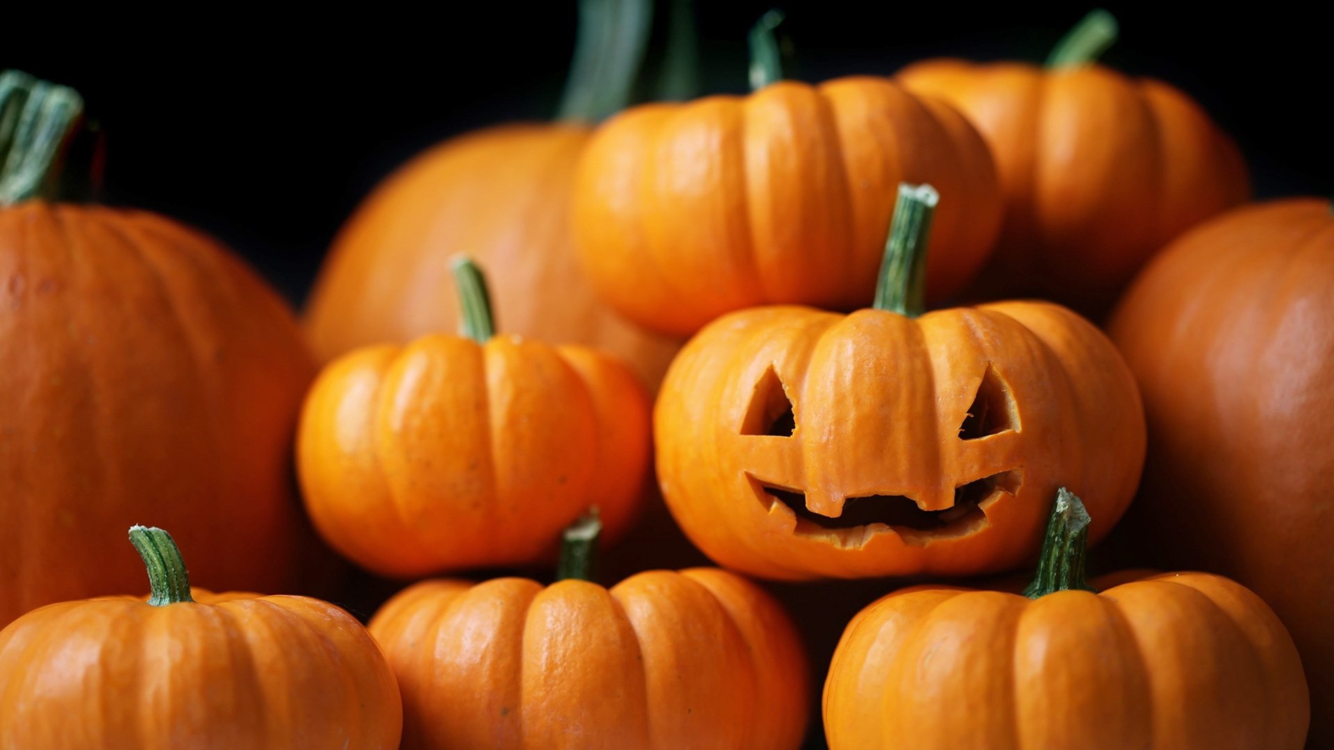 Pumpkin Hd Wallpapers