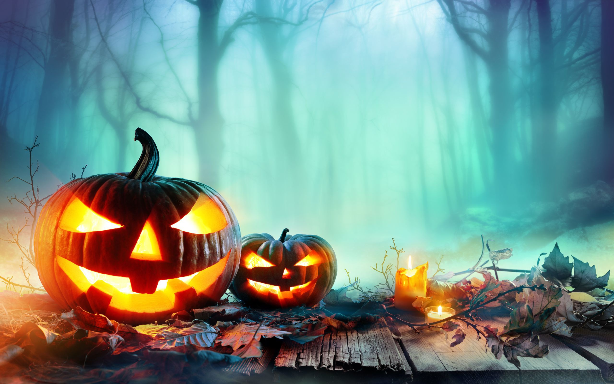 Pumpkin Wallpapers