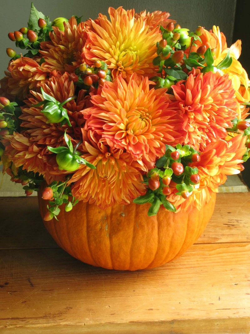 Pumpkins And Flowers Wallpapers