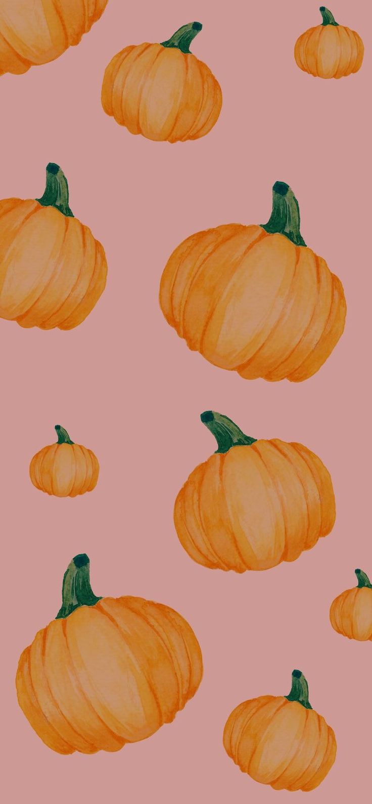 Pumpkins And Flowers Wallpapers