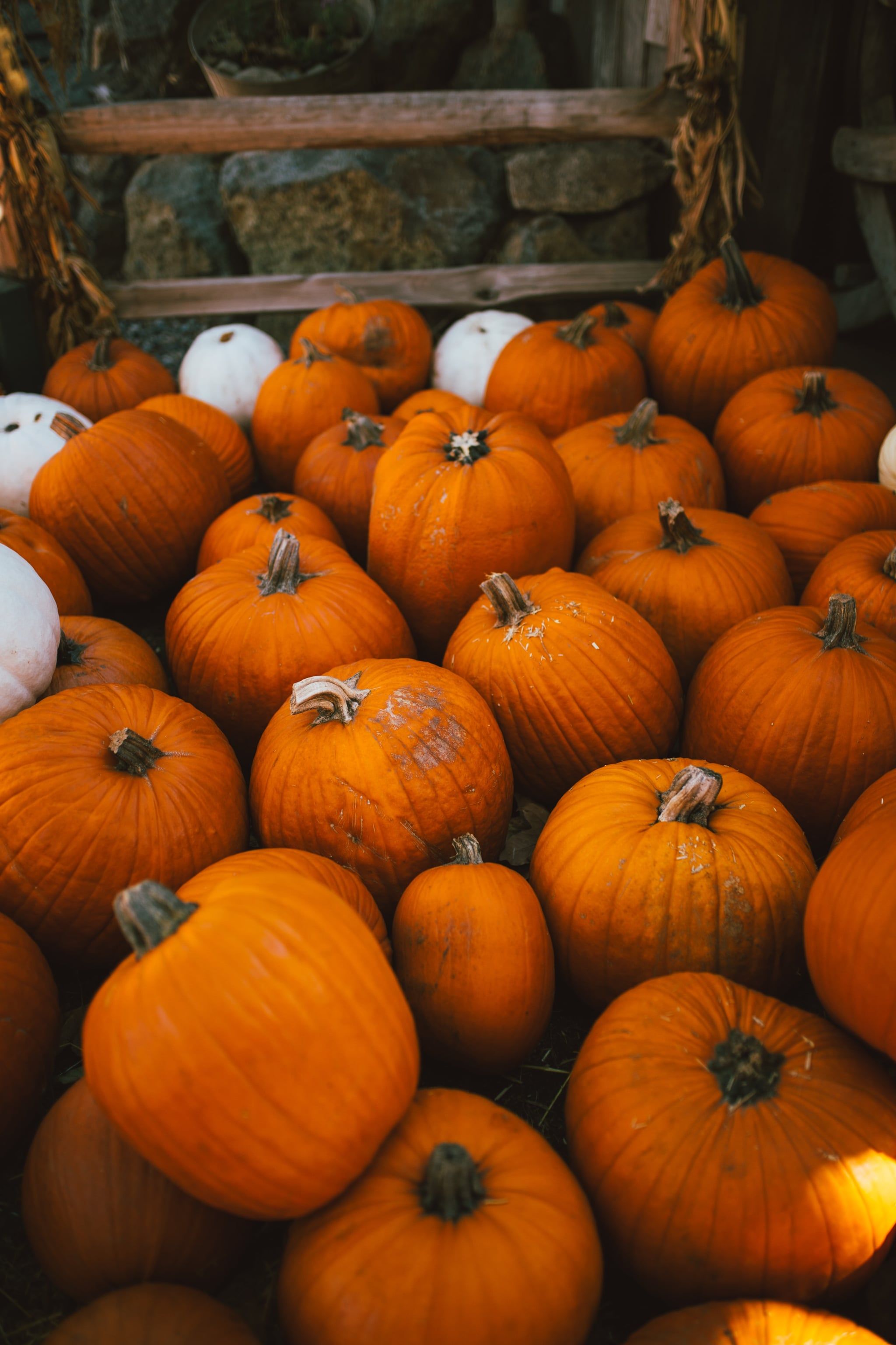 Pumpkins Wallpapers