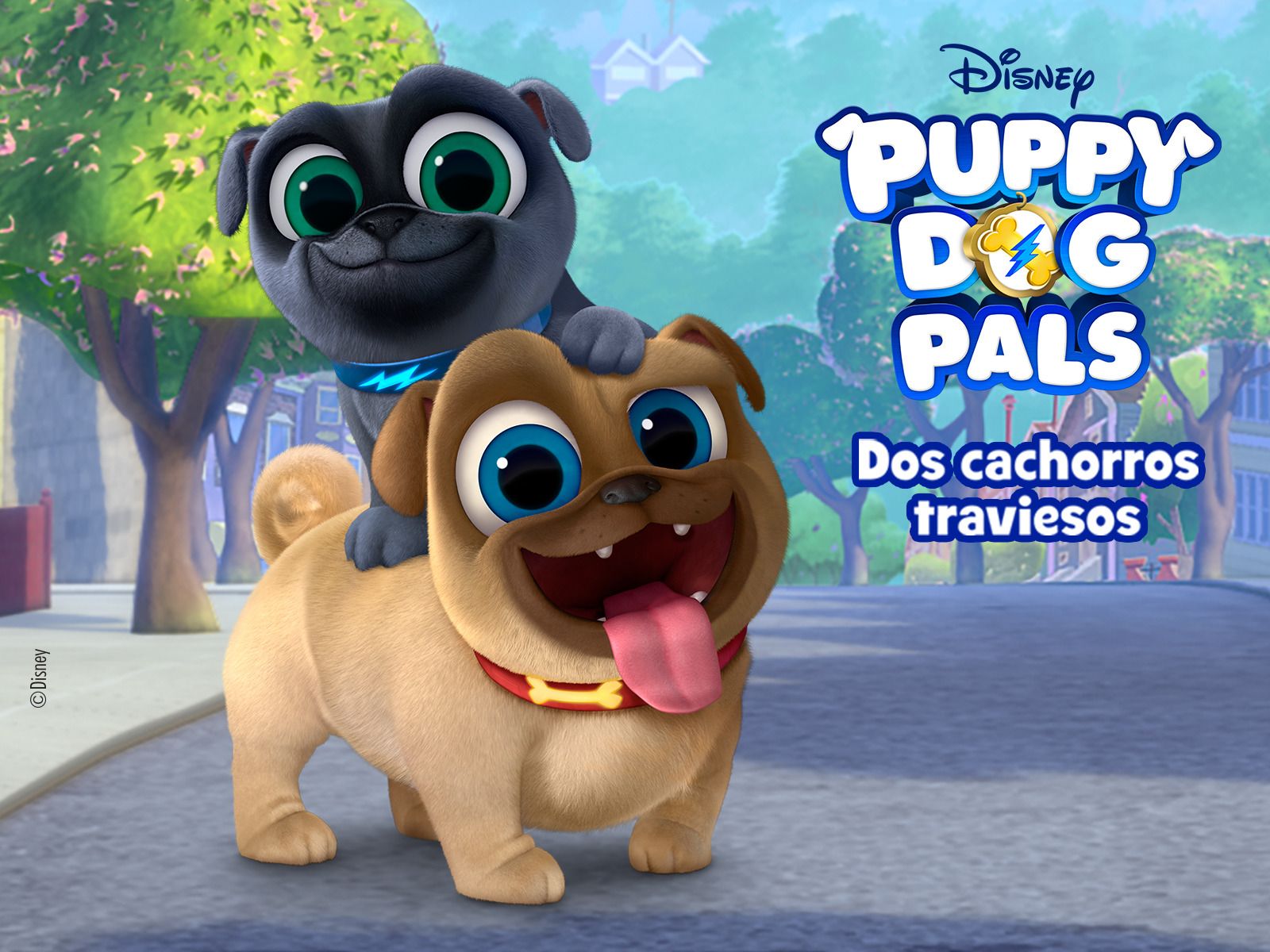 Puppy Dog Pals Wallpapers