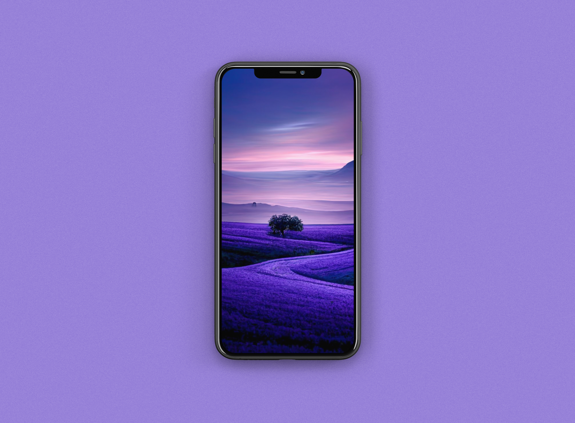 Purple 4K Wallpapers