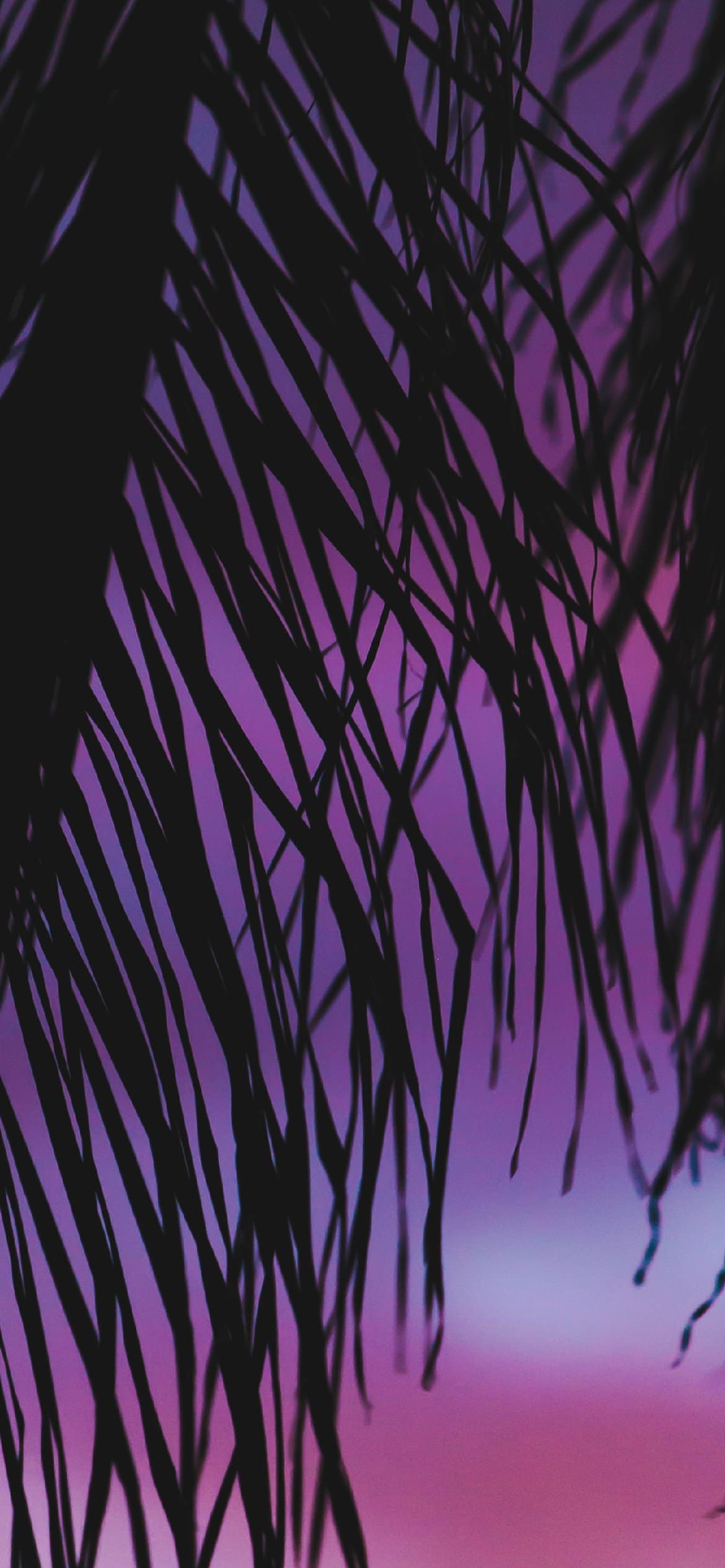 Purple Aesthetic Desktop Wallpapers