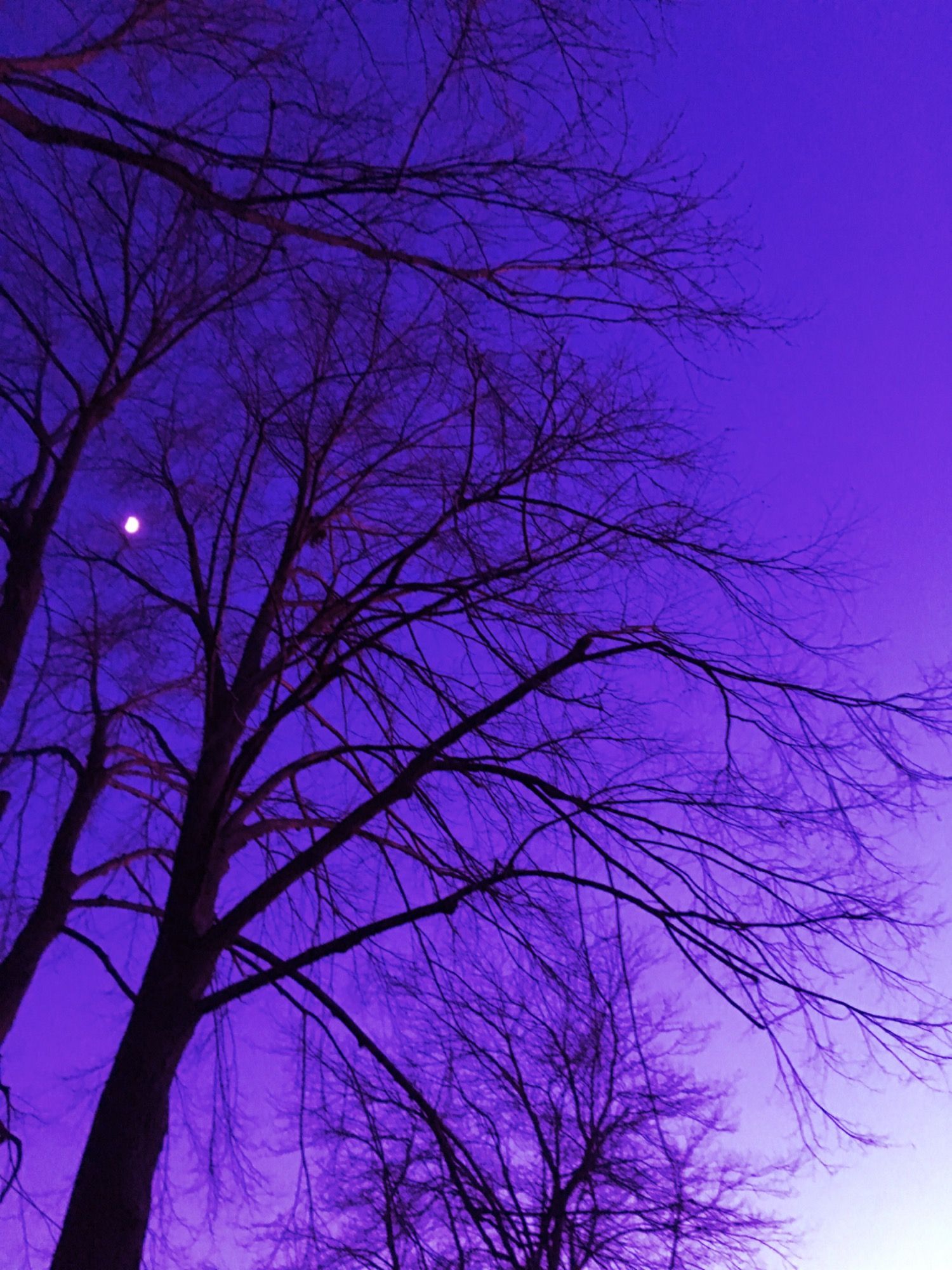 Purple Aesthetic Pictures Wallpapers
