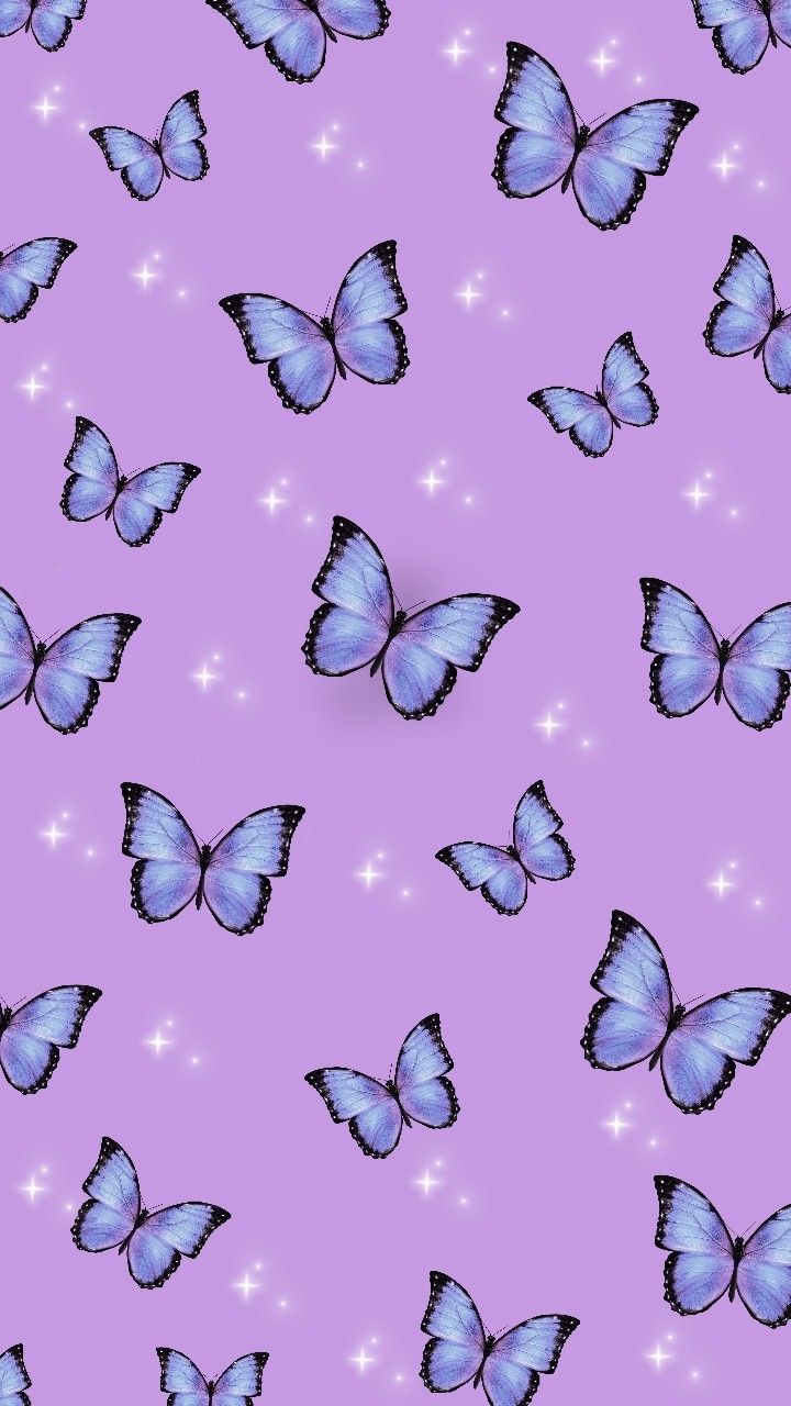 Purple And Blue Butterfly Wallpapers