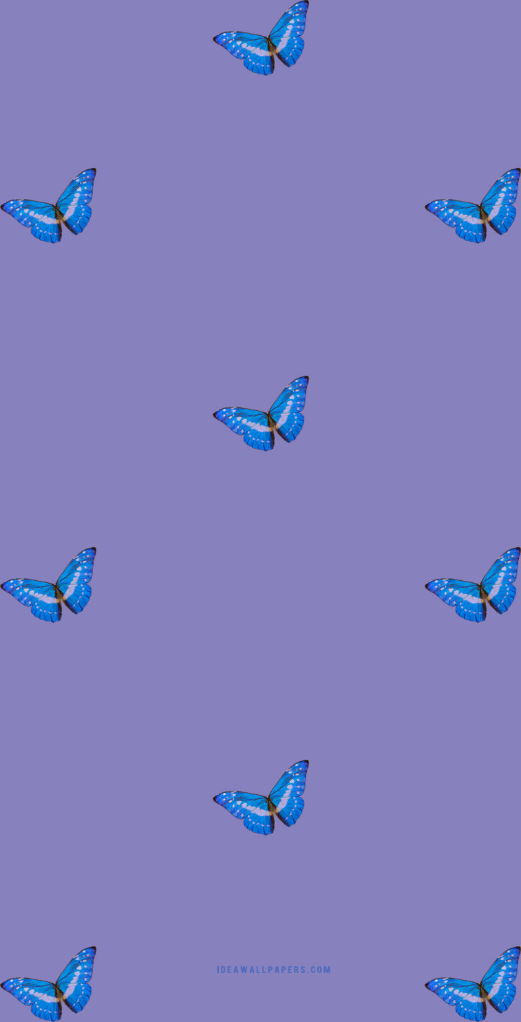 Purple And Blue Butterfly Wallpapers