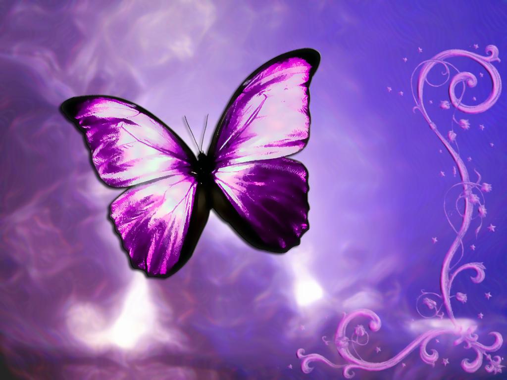 Purple And Blue Butterfly Wallpapers