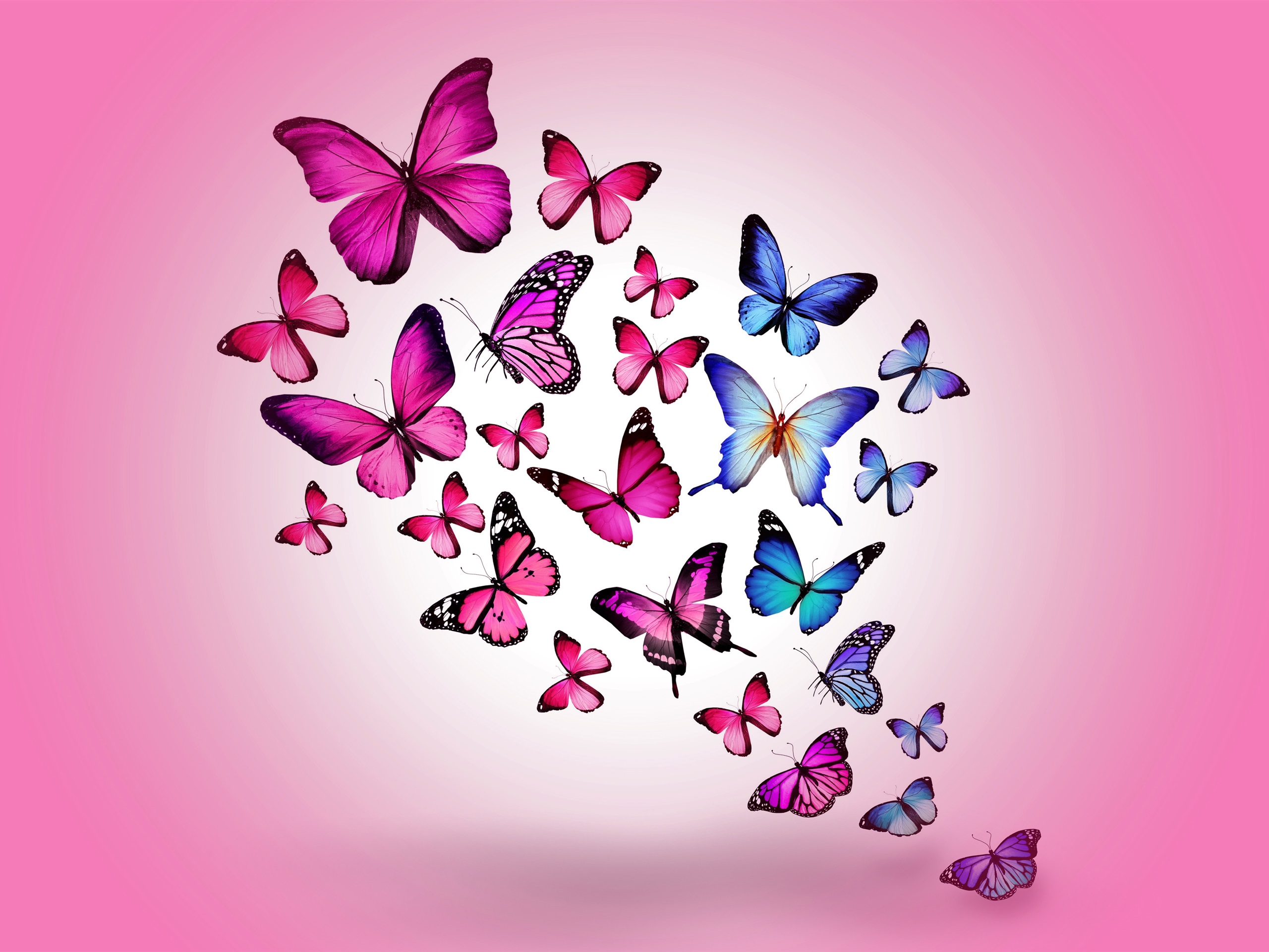 Purple And Blue Butterfly Wallpapers