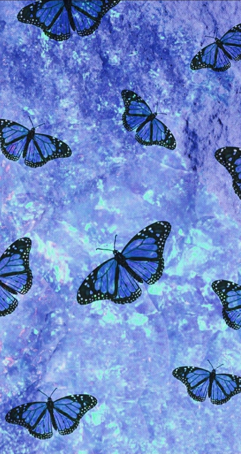 Purple And Blue Butterfly Wallpapers