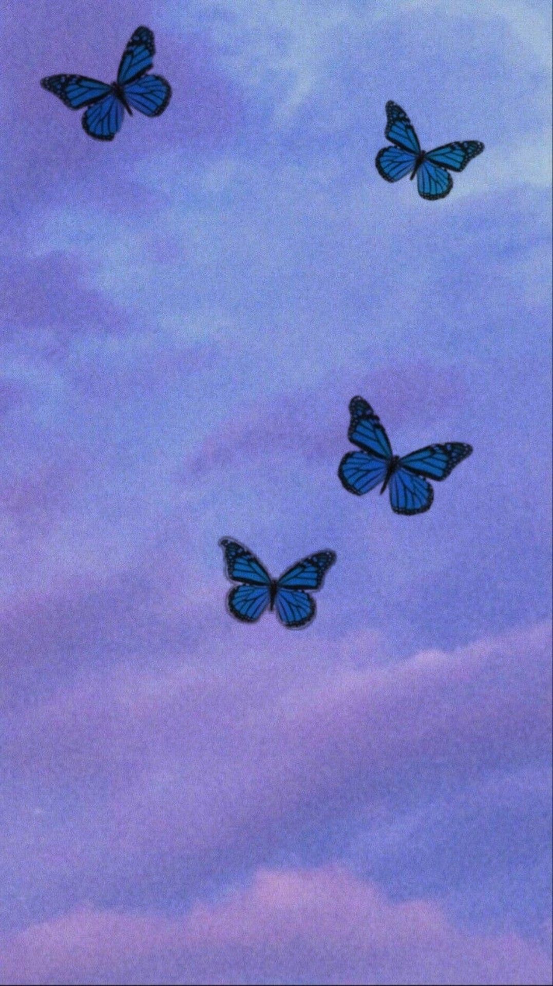 Purple And Blue Butterfly Wallpapers