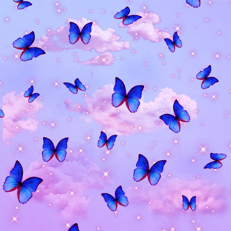 Purple And Blue Butterfly Wallpapers