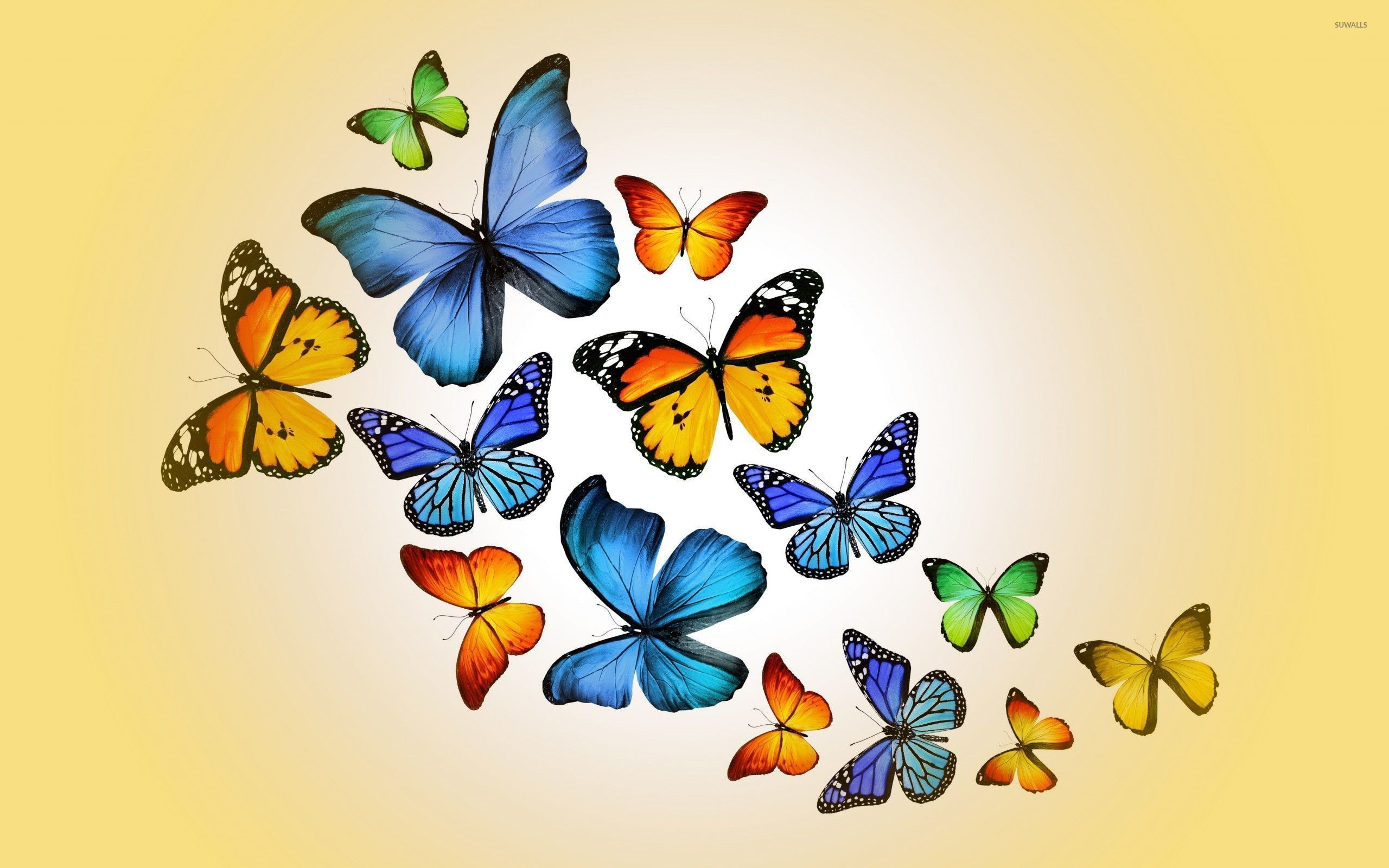 Purple And Blue Butterfly Wallpapers