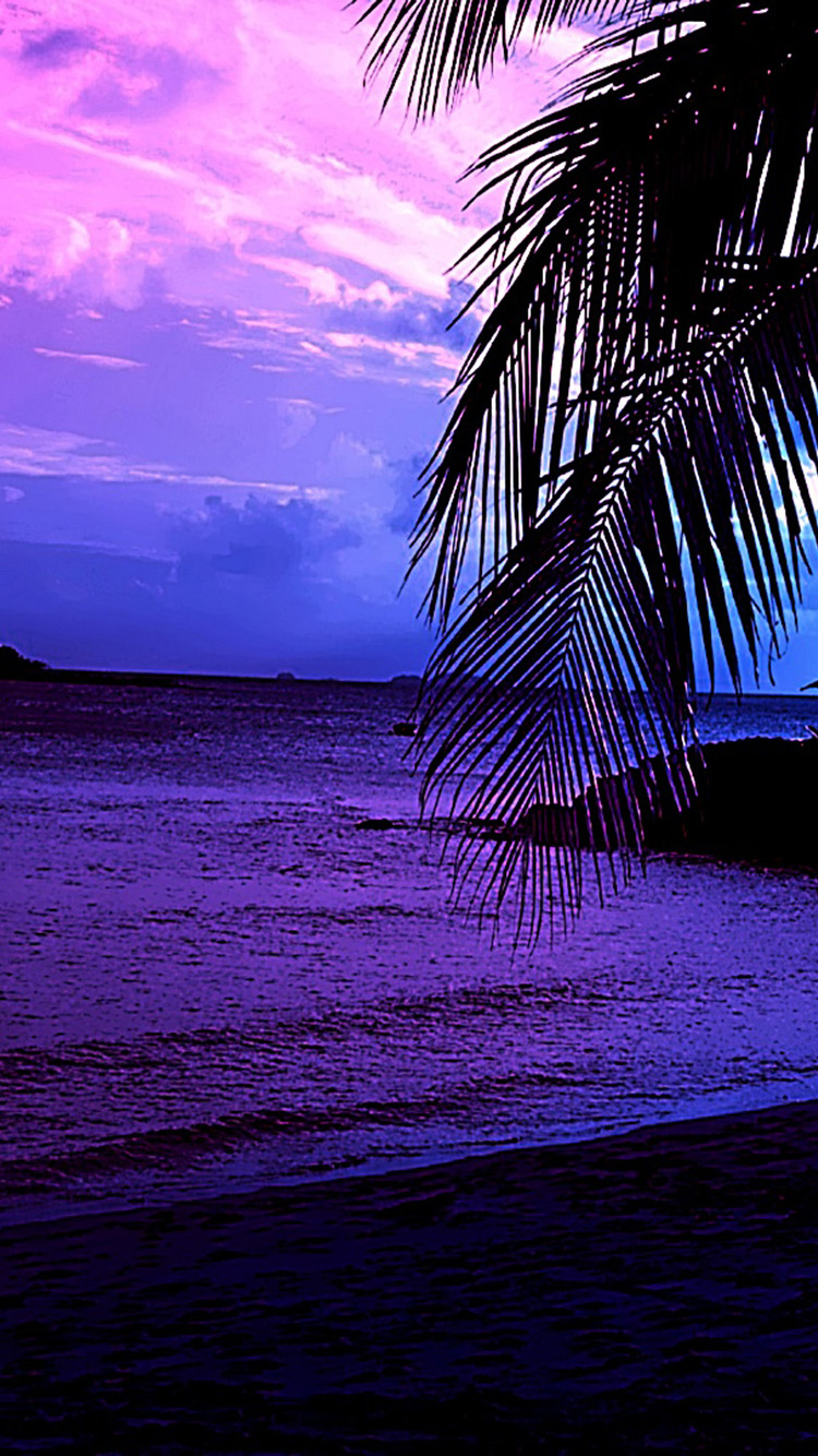 Purple Beach Wallpapers