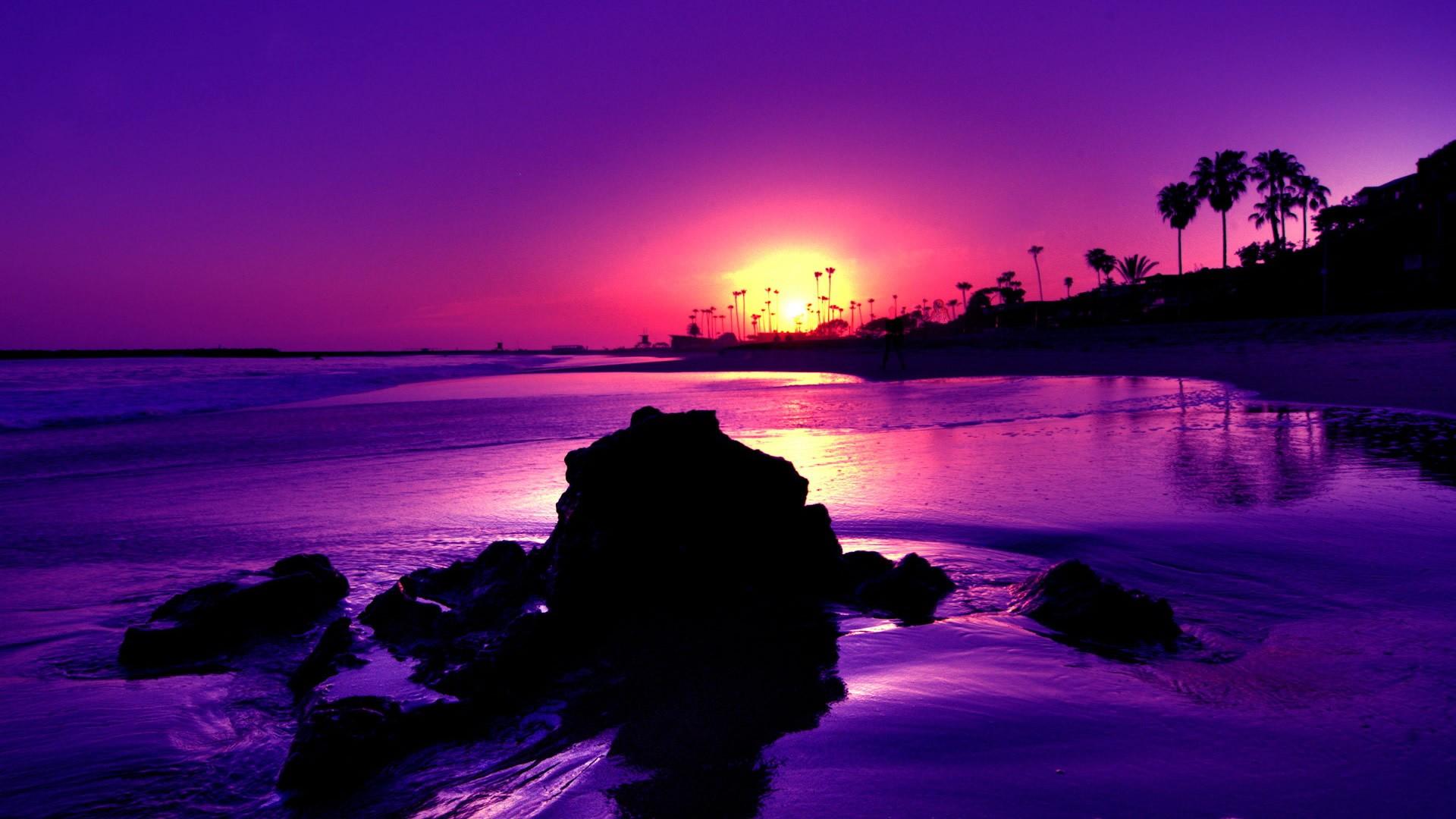 Purple Beach Wallpapers