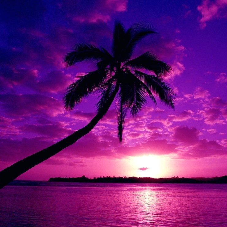 Purple Beach Wallpapers