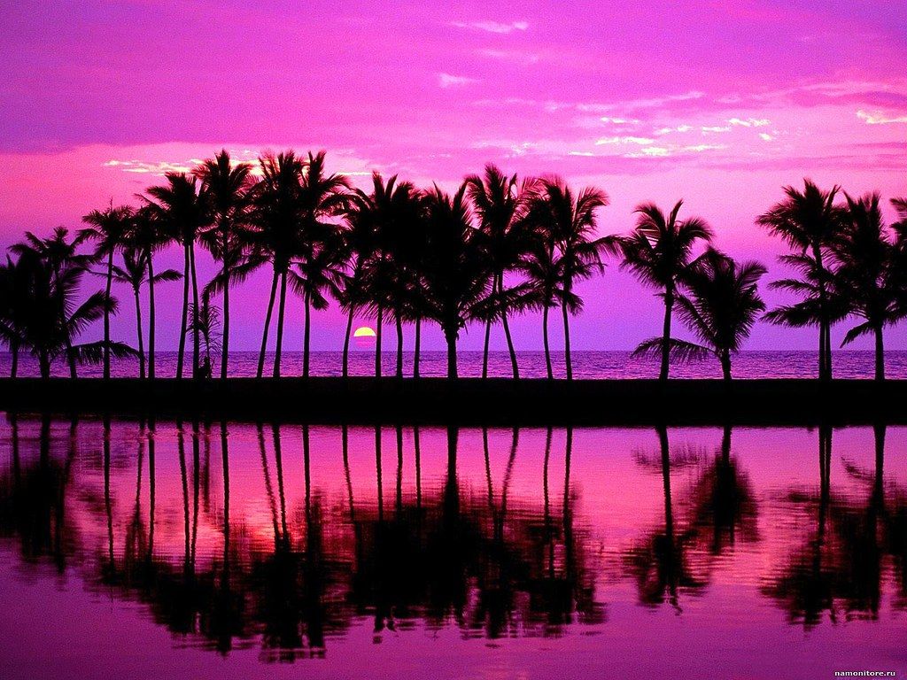 Purple Beach Wallpapers