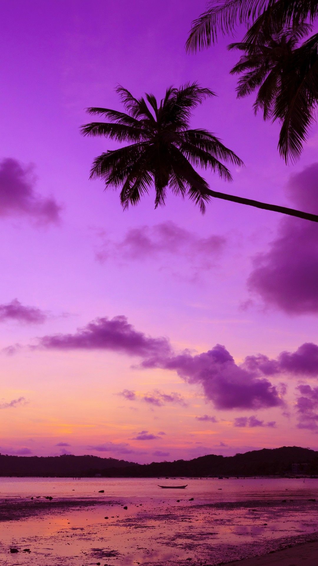 Purple Beach Wallpapers