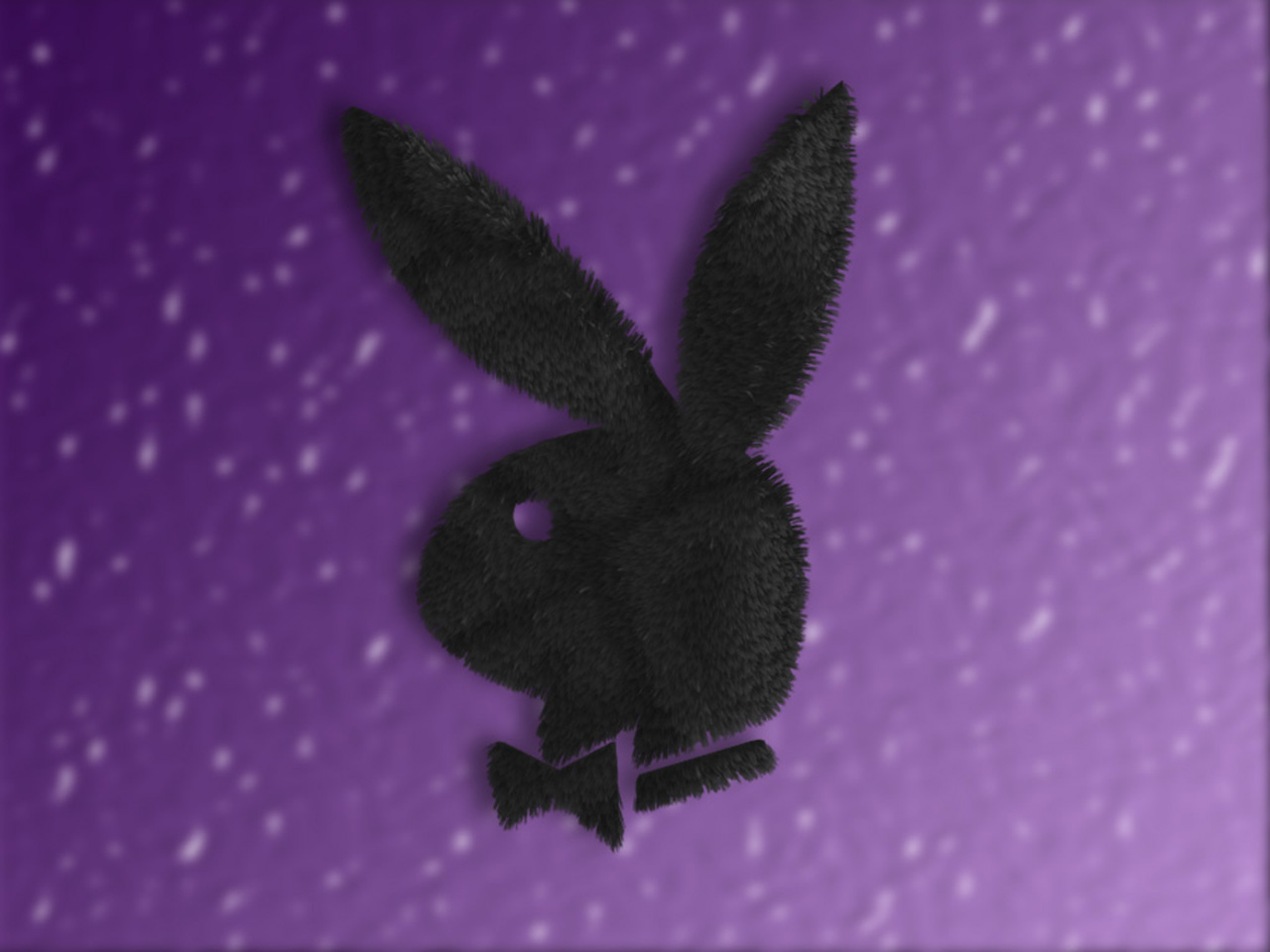 Purple Bunny Wallpapers