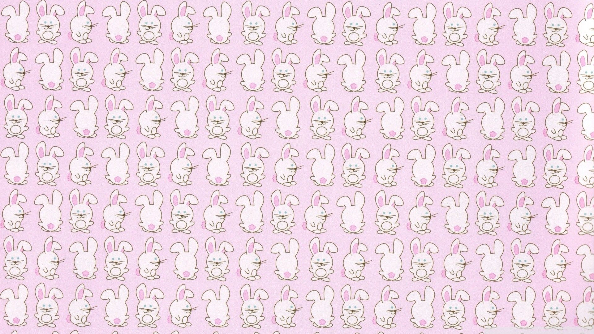 Purple Bunny Wallpapers