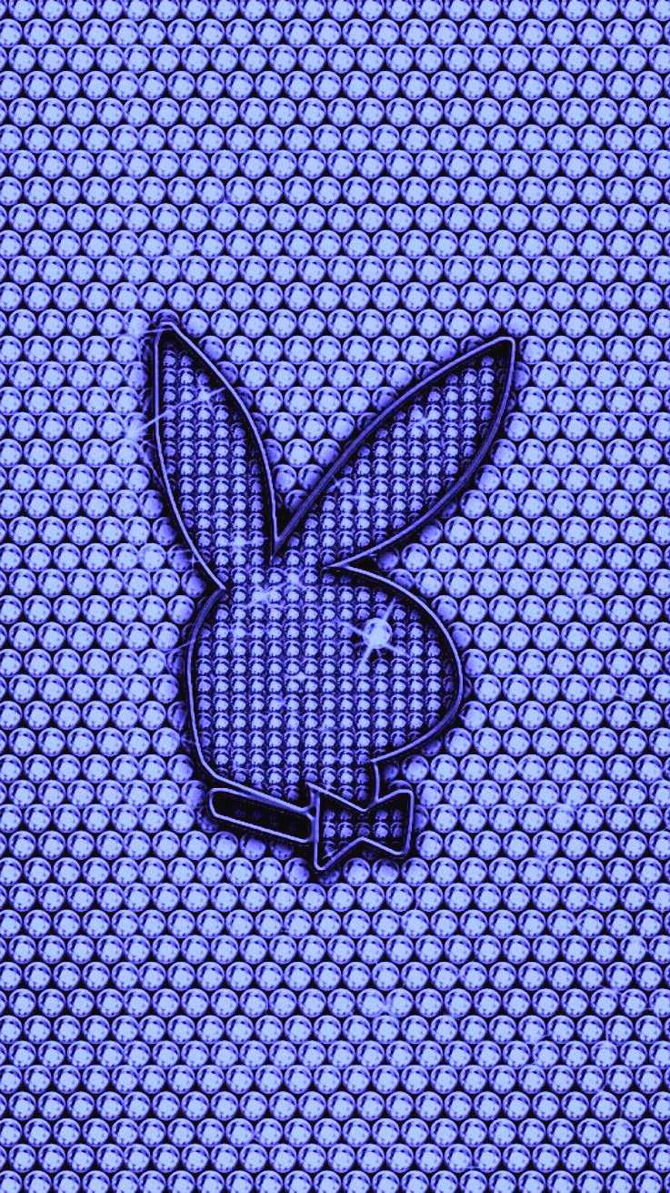 Purple Bunny Wallpapers