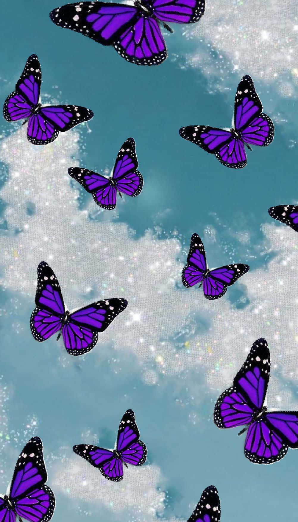 Purple Butterfly Wallpapers