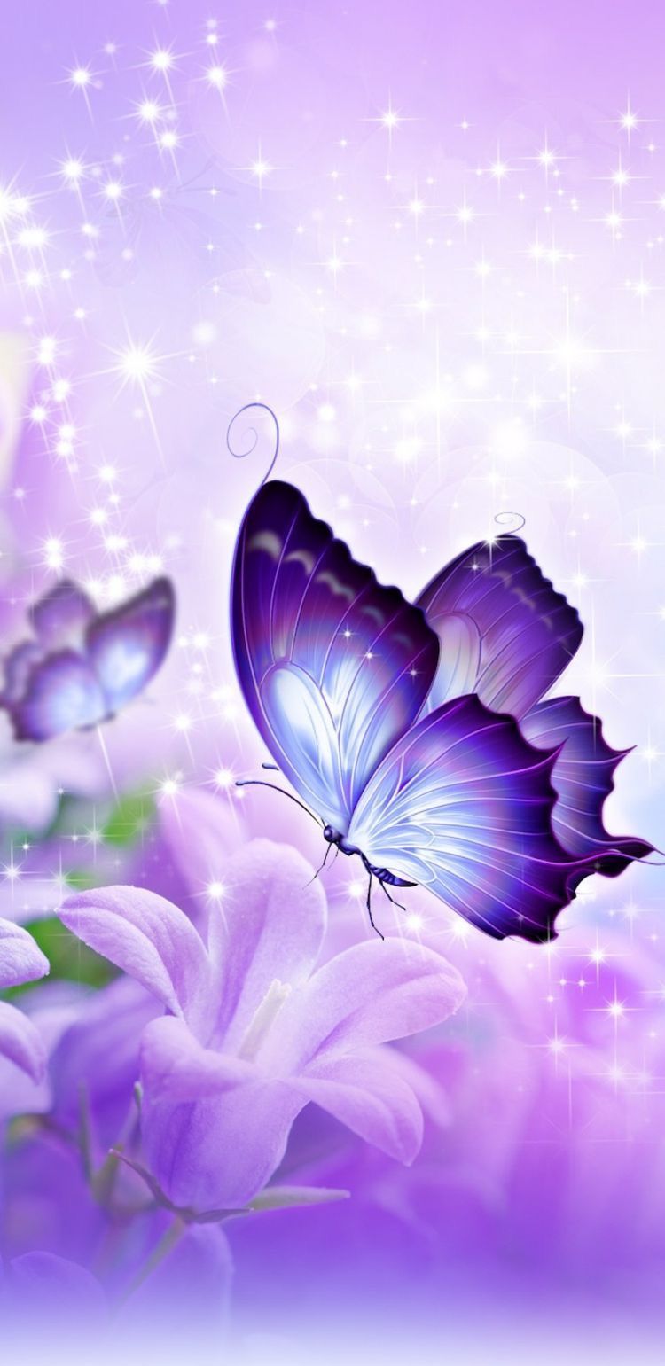 Purple Butterfly Wallpapers