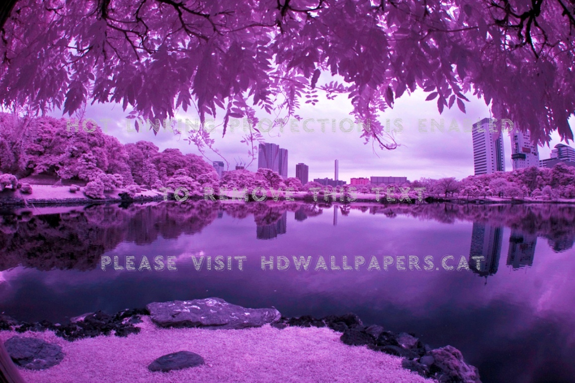 Purple City Wallpapers