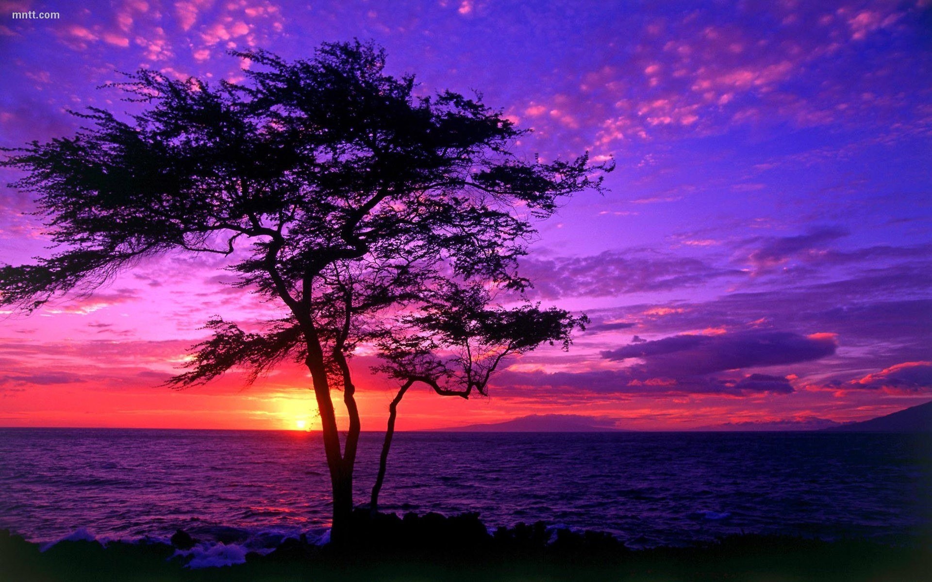 Purple Cool Sunrise Wallpapers