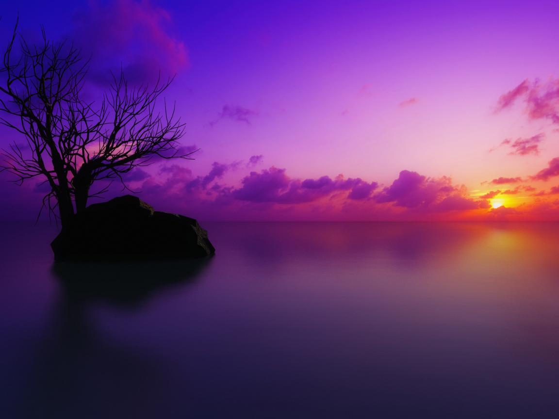 Purple Cool Wallpapers